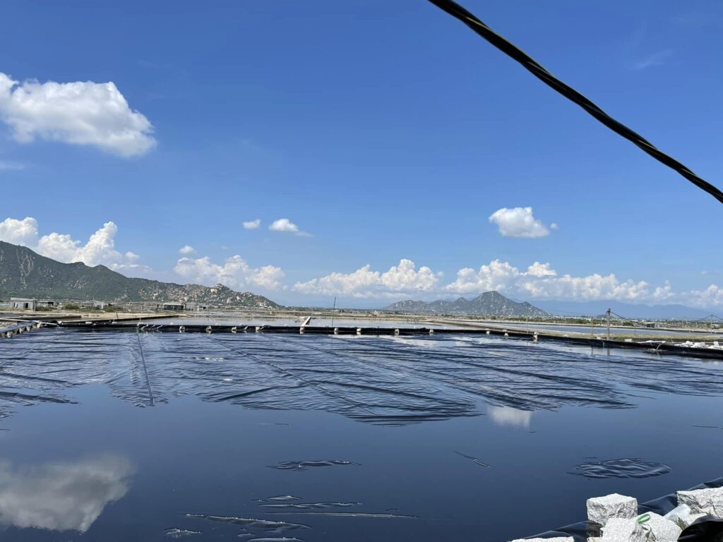 Bạt lót ao hồ HDPE