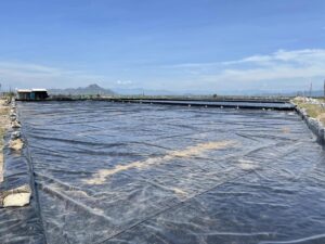 Bạt lót ao hồ HDPE chứa nước nuôi tôm cá ở Lấp Vò