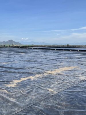 Bạt chống thấm HDPE khổ bạt 6m lót ao hồ