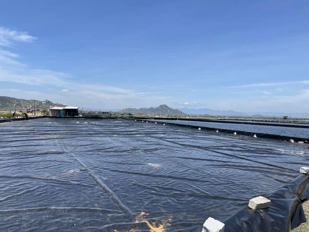 Bạt hdpe dày 0,5mm lót ao hồ nuôi cá