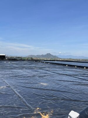 Bạt nhựa hdpe lót ao hồ nuôi tôm