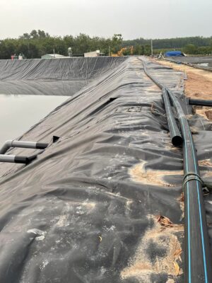 Bạt nhựa HDPE lót ao hồ nuôi tôm