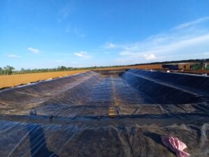 Bạt lót ao hồ HDPE chứa nước nuôi tôm cá ở Tam Nông