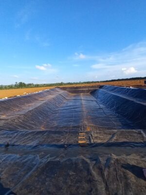 Bạt lót hồ chứa nước tưới cây HDPE ở Lâm Đồng