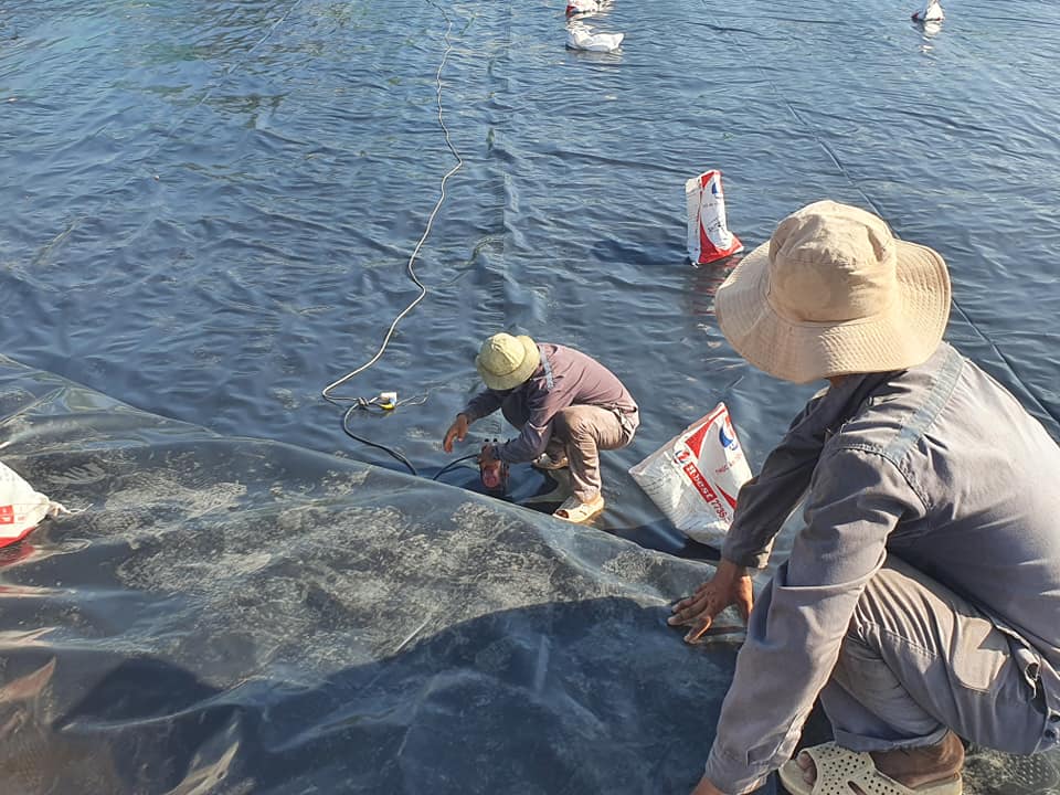 Bạt lót ao hồ HDPE chứa nước nuôi tôm cá ở Vĩnh Cửu Bạt lót ao hồ HDPE chứa nước nuôi tôm cá ở Vĩnh Cửu