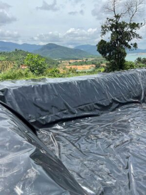 Bạt lót hồ sen hồ súng HDPE Gia Lai