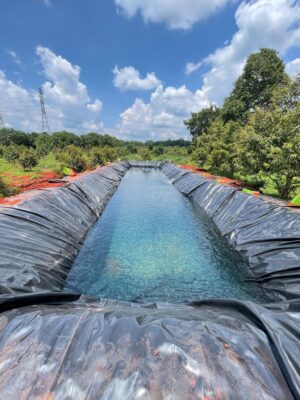 Bạt lót hồ chứa nước tưới cây HDPE ở Đắk Nông