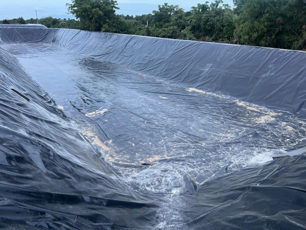 Màng bạt HDPE lót hồ cảnh quan, sân vườn