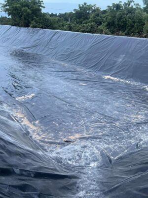 Sai lầm lớn nhất là 