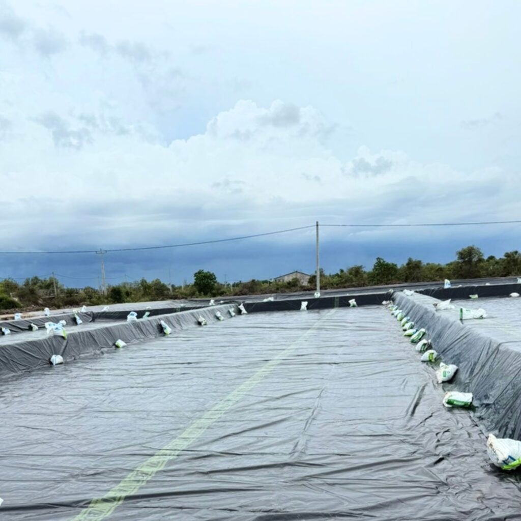 Bạt lót ruộng muối HDPE