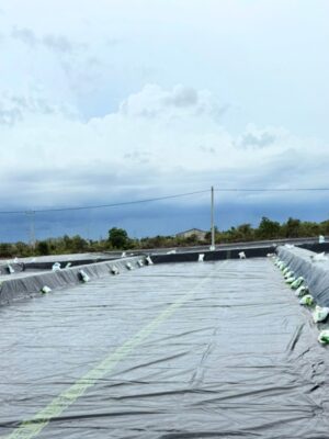 Bạt lót ruộng muối HDPE