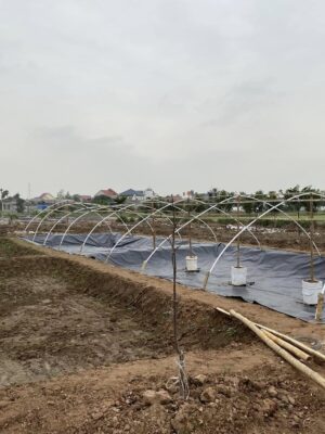 Bạt lót bờ ao mương kè dẫn nước HDPE