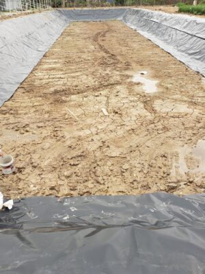 Bạt lót ao hồ nuôi cá HDPE