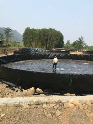 Bể tròn bạt HDPE nuôi cá