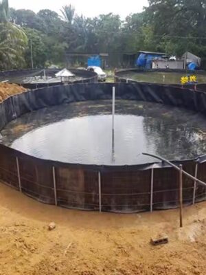 Bể tròn bạt HDPE nuôi cá
