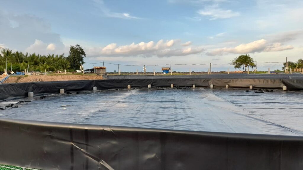 Bể bạt HDPE Vuông/Chữ Nhật (Phổ biến nuôi Lươn, Ốc, Ếch)