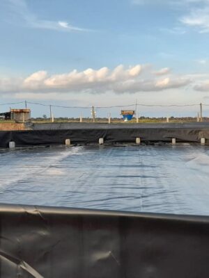 Bể bạt HDPE Vuông/Chữ Nhật (Phổ biến nuôi Lươn, Ốc, Ếch)