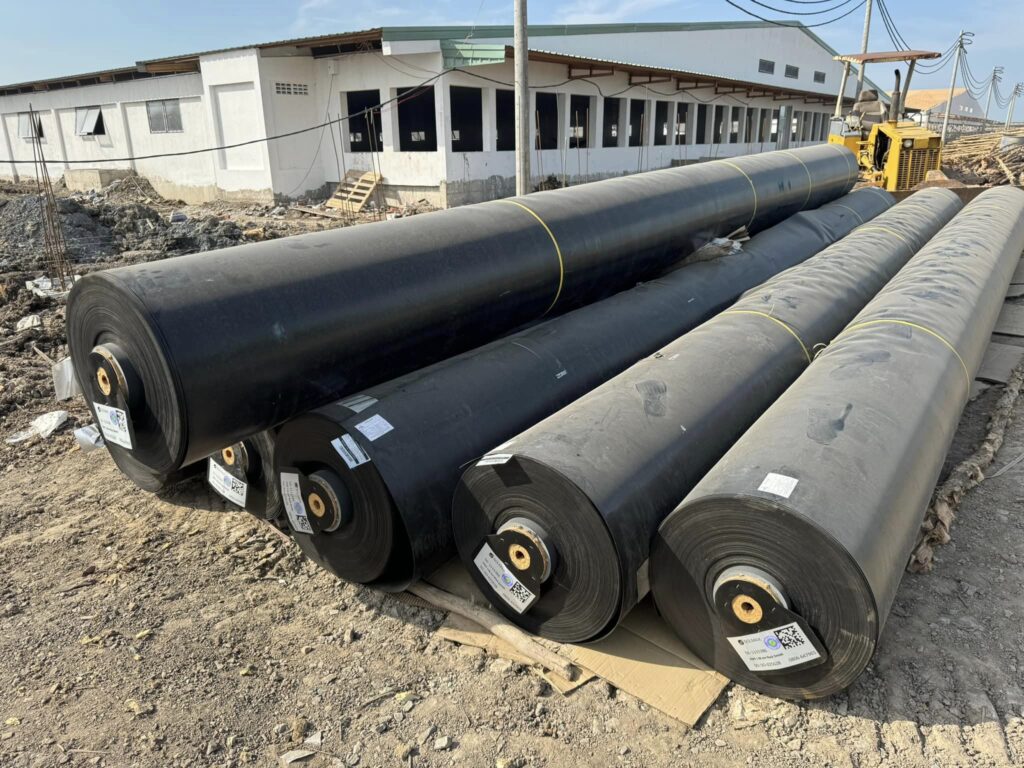 Bạt lót hồ sen hồ súng HDPE