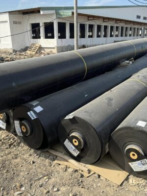 Kho Xưởng Bạt HDPE