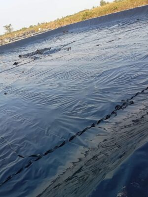 Bạt đen 2 mặt HDPE lót hồ
