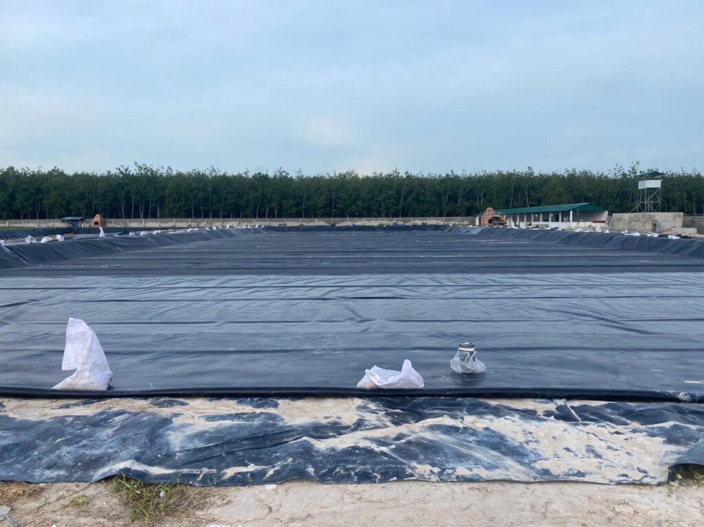 Bạt hdpe dày 0,5mm lót hồ tôm