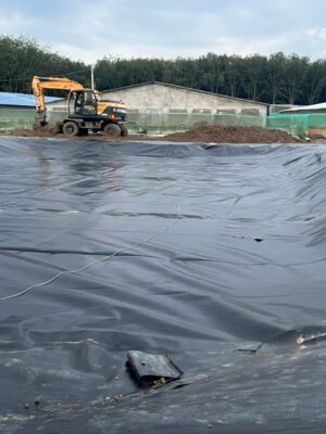 Bạt lót ao hồ HDPE chứa nước nuôi tôm cá ở Đắk Lắk