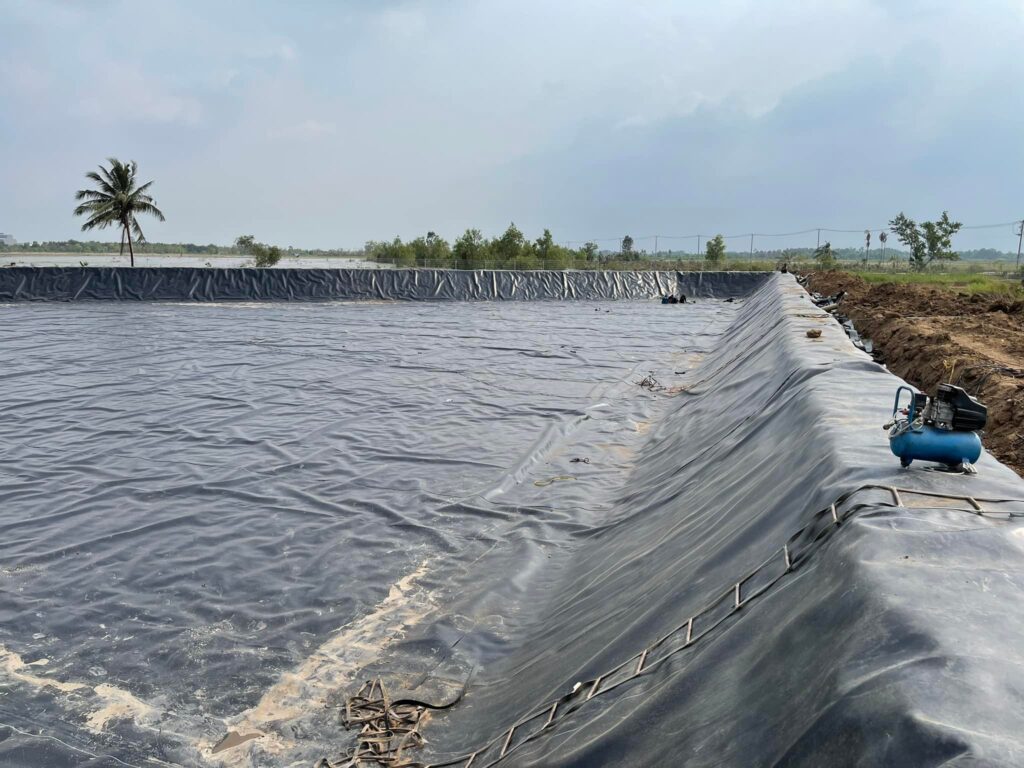 Bạt hdpe dày 0,5mm lót hồ tôm