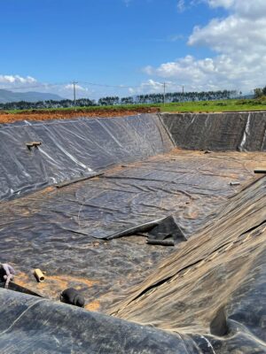 Bạt lót ao nuôi cá HDPE ở Ninh Thuận