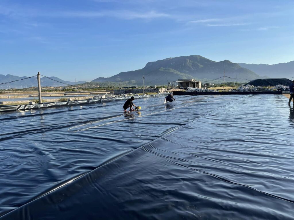 Thi công trải bạt HDPE lót hồ nuôi tôm