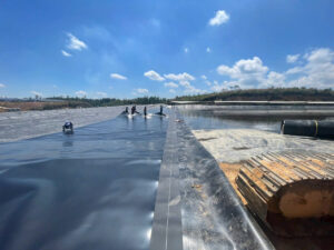 [Hướng dẫn] Trải bạt HDPE lót ao nuôi tôm công nghệ cao chi tiết