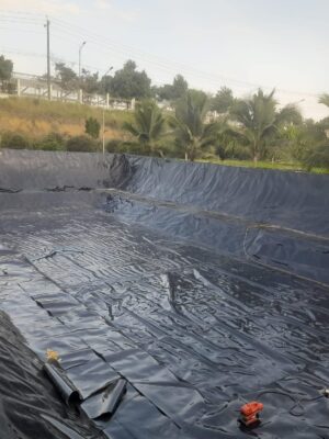 Vệ sinh ao bạt sau thu hoạch