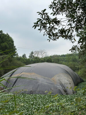 Túi Biogas 400 khối HDPE