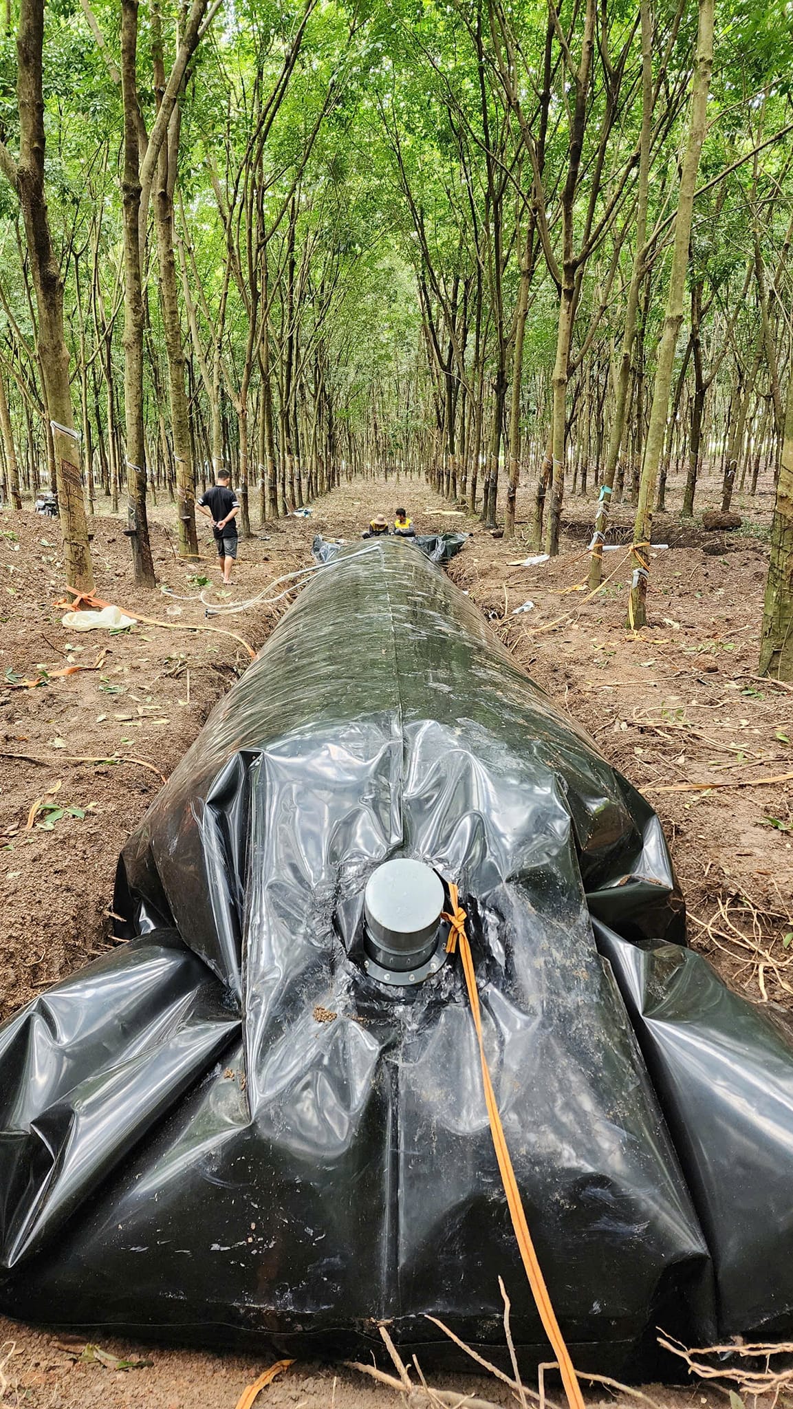 Túi bạt Biogas HDPE