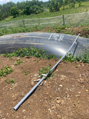 Cung cấp túi bạt biogas 20 khối toàn quốc