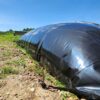Túi bạt Biogas HDPE