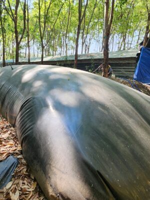 Túi Biogas 350 khối HDPE