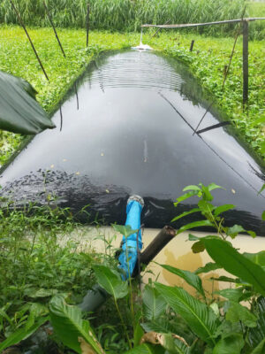 Túi Biogas 350 khối HDPE