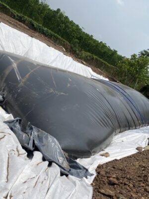 Túi Biogas 300 khối HDPE